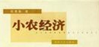 小農經濟意識